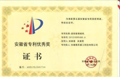 安徽省专利优秀奖（2项）